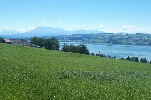 View on the lake Sempach