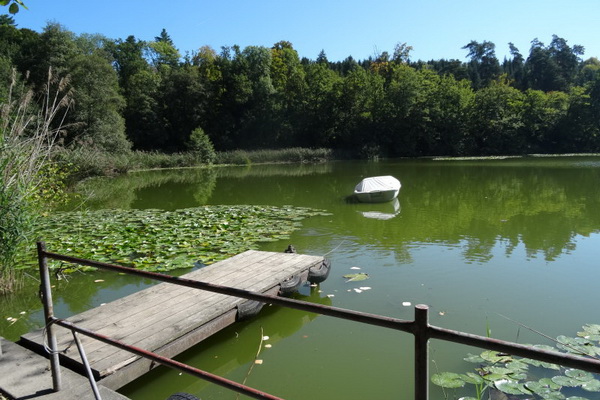 Stinibühlweiher