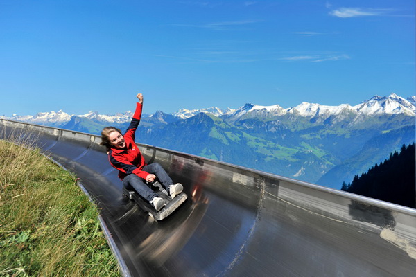 Summer toboggan run